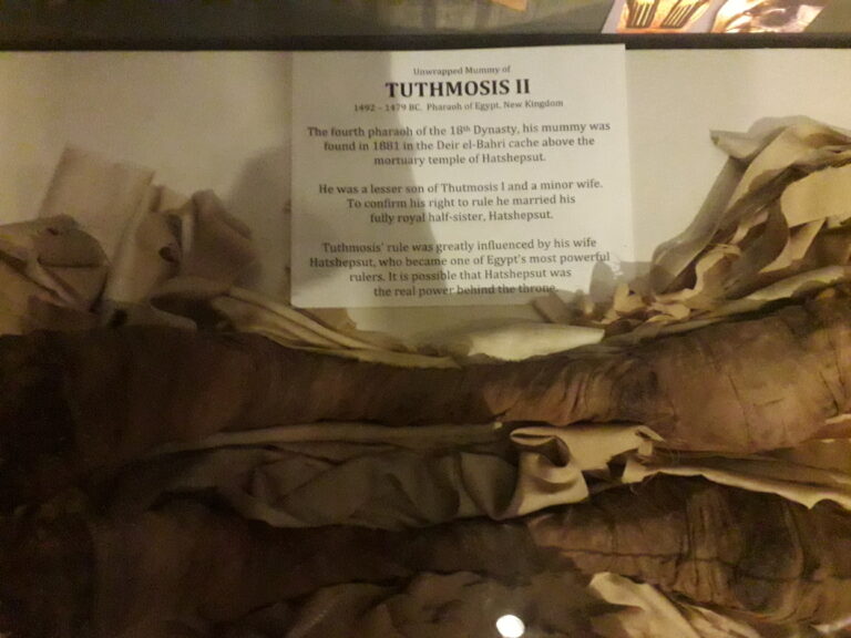 Read more about the article The Biblical Significance of the Recent Tuthmosis II Tomb Discovery