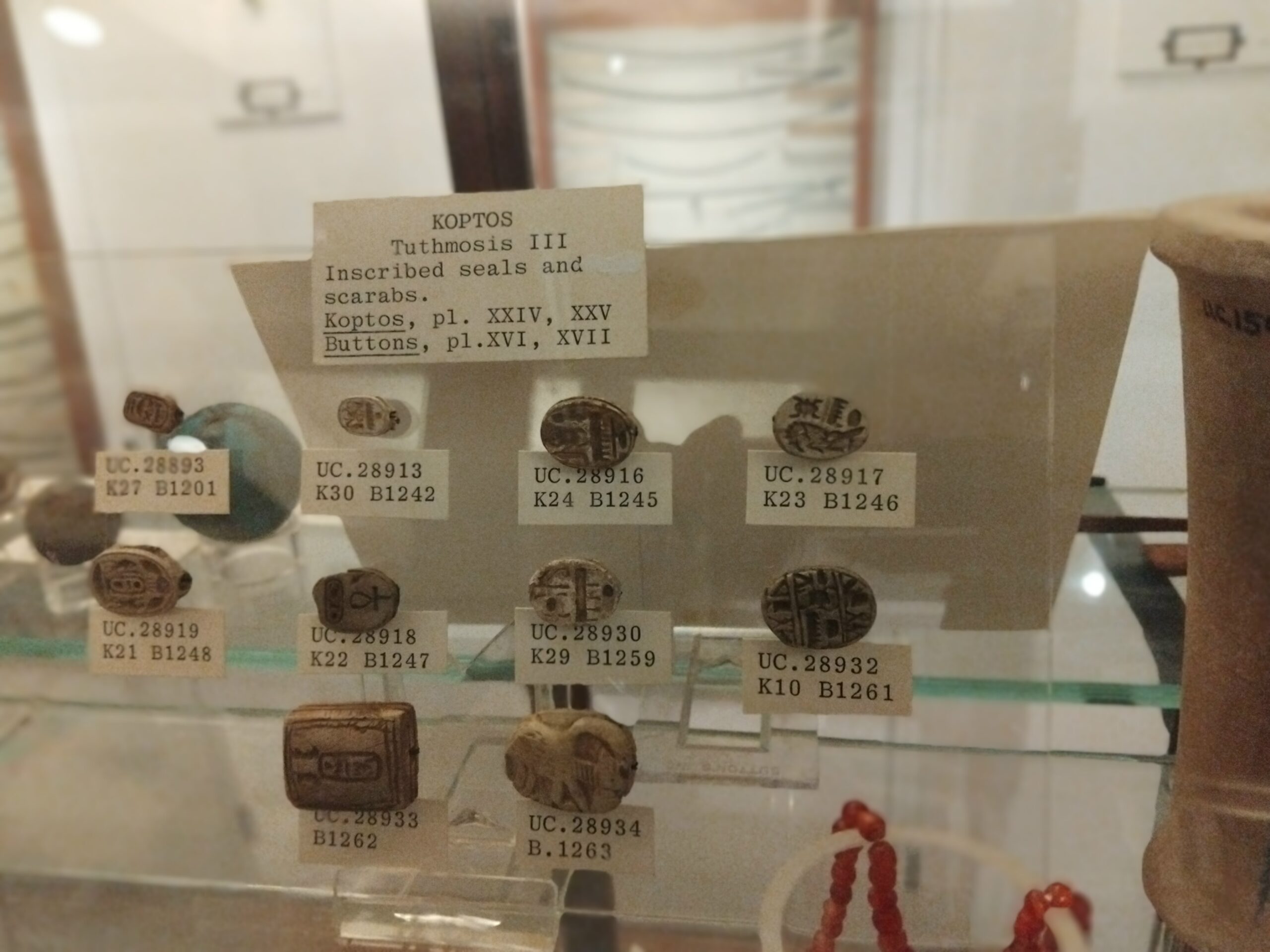 You are currently viewing The Petrie Museum and the Bible